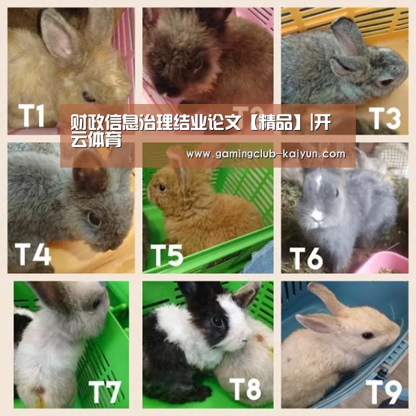财政信息治理结业论文【精品】|开云体育(图3) 开云篮球