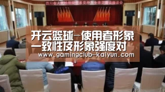 开云篮球-使用者形象一致性及形象强度对品牌产生的作用范围探讨(图3) 开云篮球