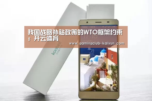 我国战略补贴政策的WTO框架约束:开云体育(图2) 开云足球