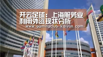 开云足球:上海服务业利用外资现状分析(图3) 开云足球