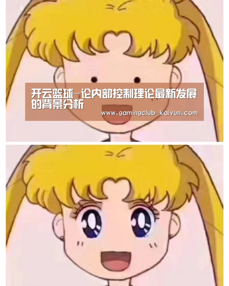 开云篮球-论内部控制理论最新发展的背景分析(图4) 开云赛事