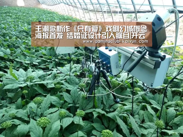 王潮歌新作《只有爱》戏剧幻城概念海报首发 结婚证设计引人瞩目|开云体育(图3) 开云足球