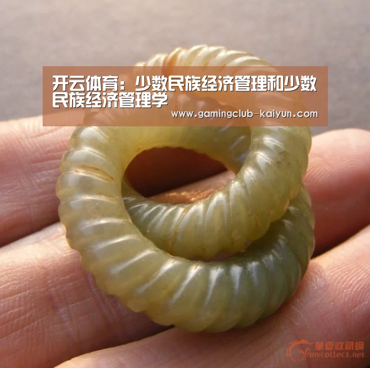 开云体育:少数民族经济管理和少数民族经济管理学(图2) 开云体育