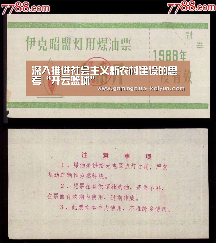 深入推进社会主义新农村建设的思考“开云篮球”(图2) 开云篮球