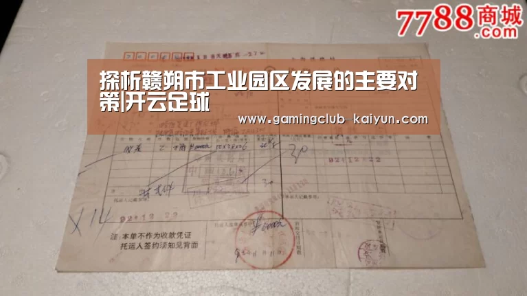 探析赣朔市工业园区发展的主要对策|开云足球(图1) 开云篮球