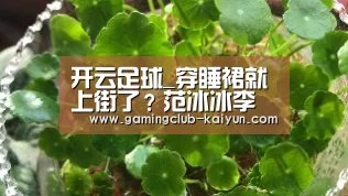 开云足球_穿睡裙就上街了?范冰冰李晨逛街竟是这画风(图1) 开云赛事