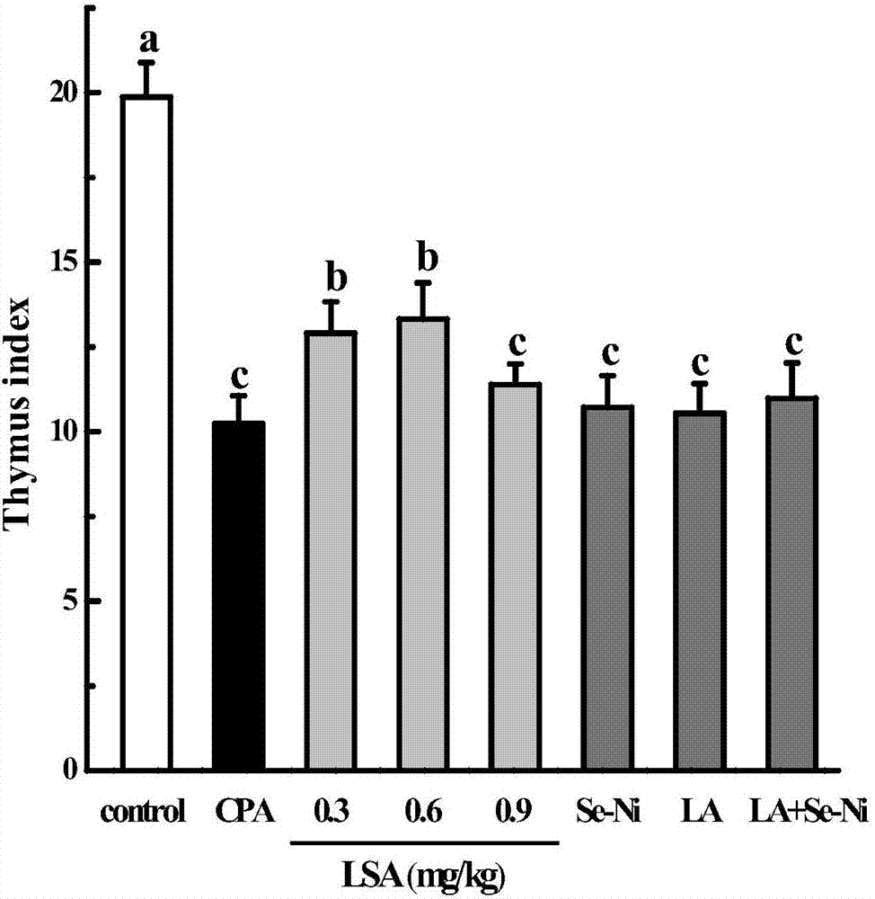 开云赛事