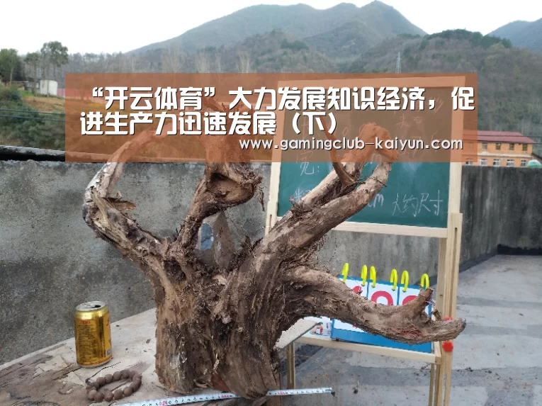 “开云体育”大力发展知识经济,促进生产力迅速发展(下)(图2) 开云足球