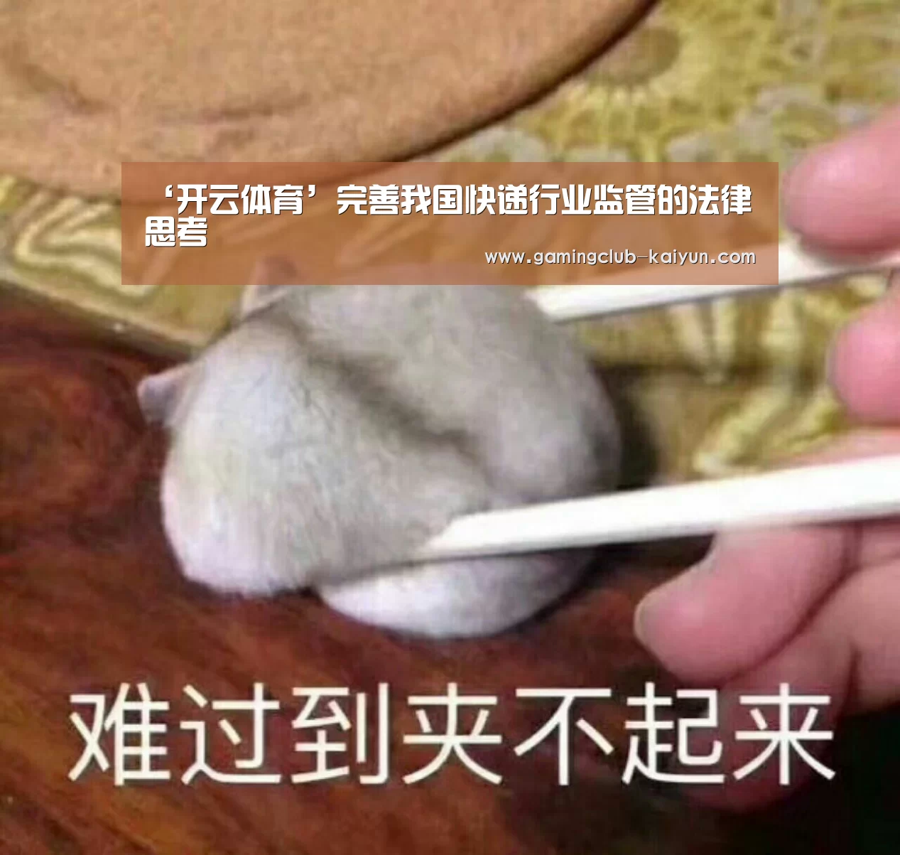 ‘开云体育’完善我国快递行业监管的法律思考(图4) 开云赛事