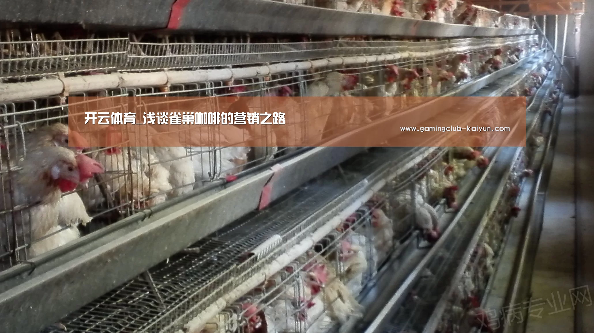 开云体育_浅谈雀巢咖啡的营销之路(图2) 开云赛事
