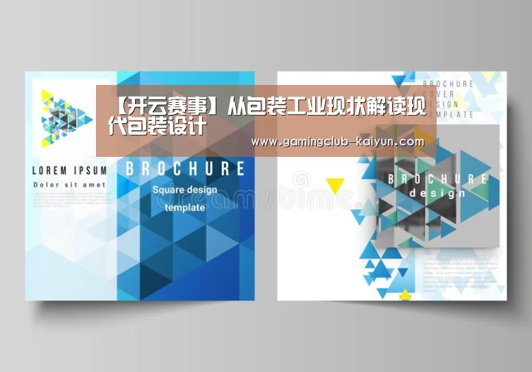 【开云赛事】从包装工业现状解读现代包装设计(图1) 开云体育