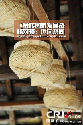 《金砖国家发展战略对接:迈向共同繁荣的路径》报告发布【开云赛事】(图2) 开云足球