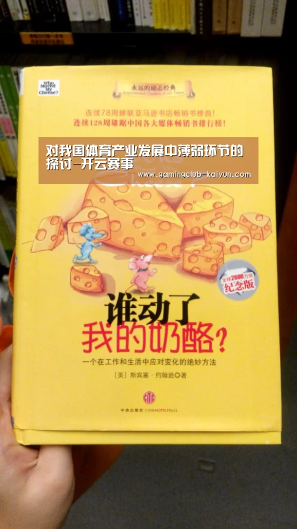 对我国体育产业发展中薄弱环节的探讨-开云赛事(图2) 开云足球