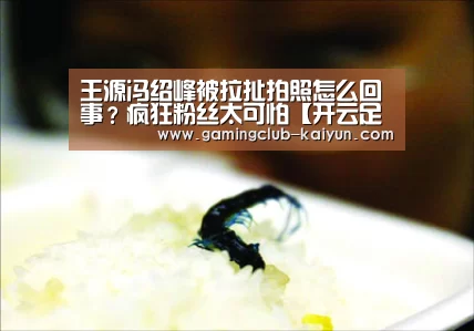 开云篮球