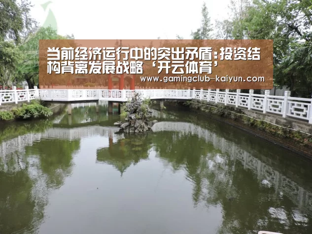 开云篮球