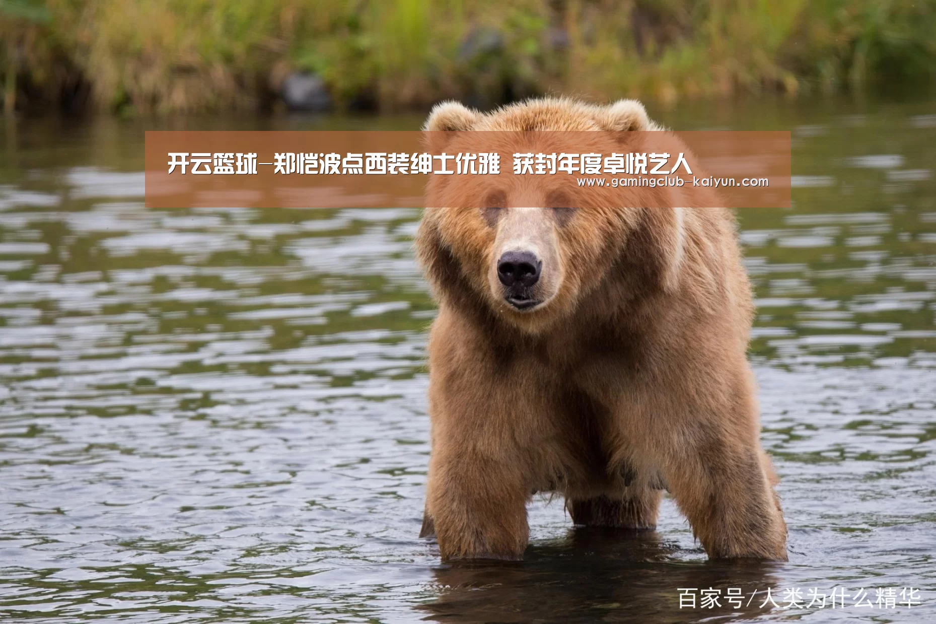 开云篮球-郑恺波点西装绅士优雅 获封年度卓悦艺人(图3) 开云足球
